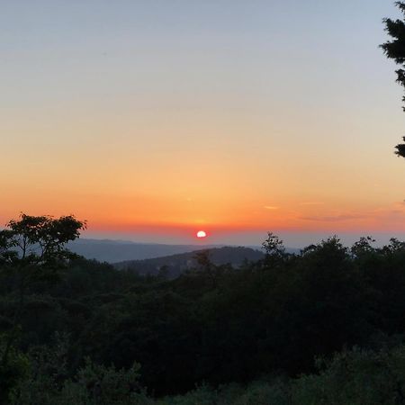 Poggio Al Sole Villa Badia A Passigano Luaran gambar