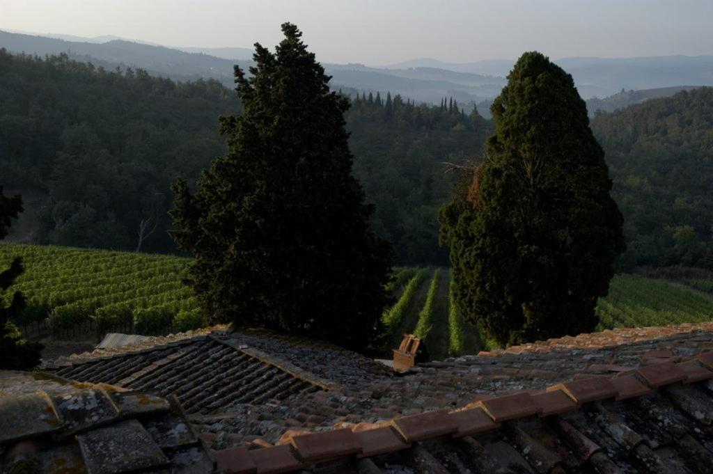 Poggio Al Sole Villa Badia A Passigano Luaran gambar